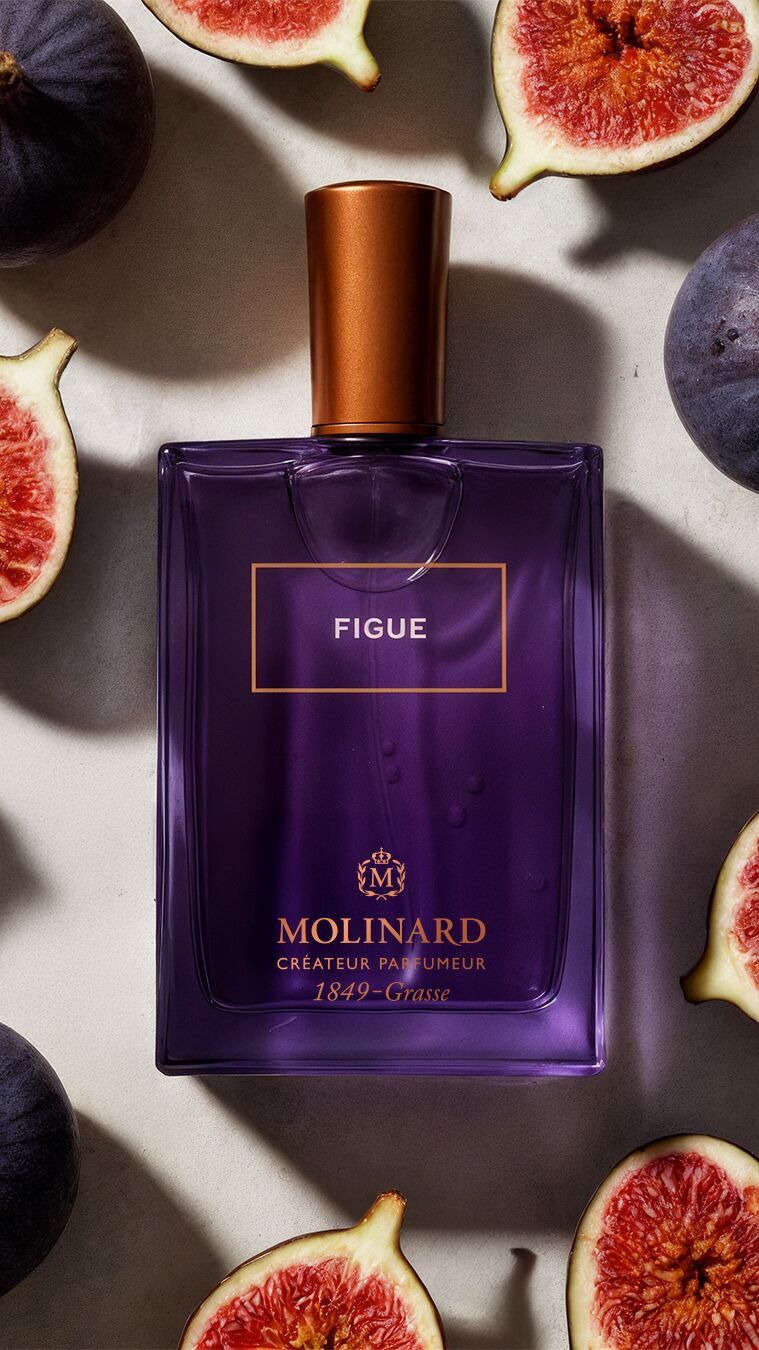 Molinard — Figue sensory world